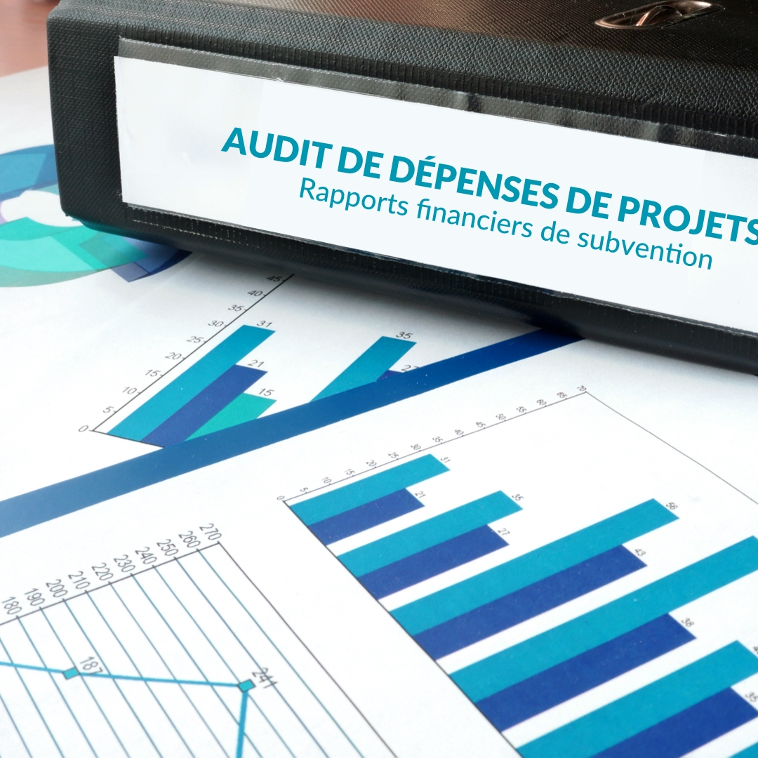 Audit de dépenses de projets